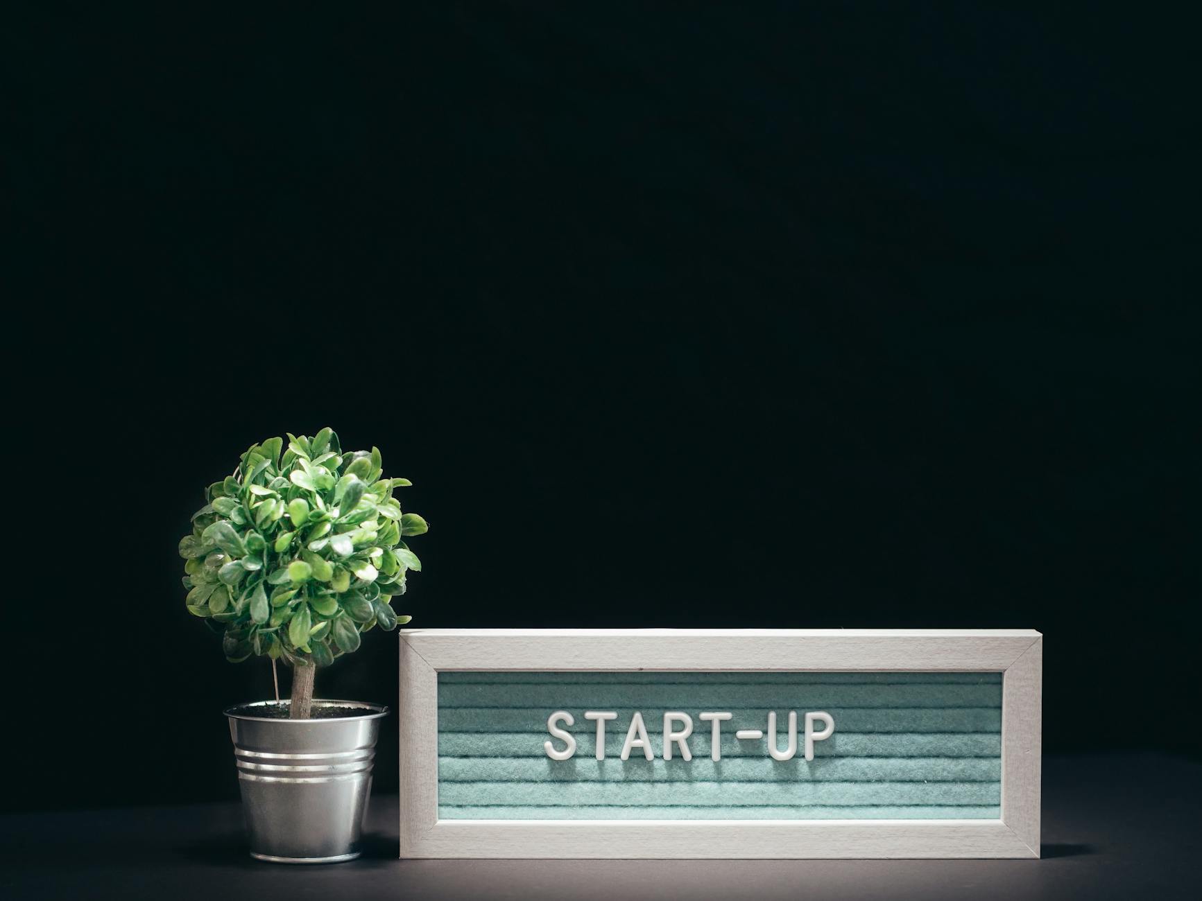 How to Start a Solar Business With No Experience in the USA