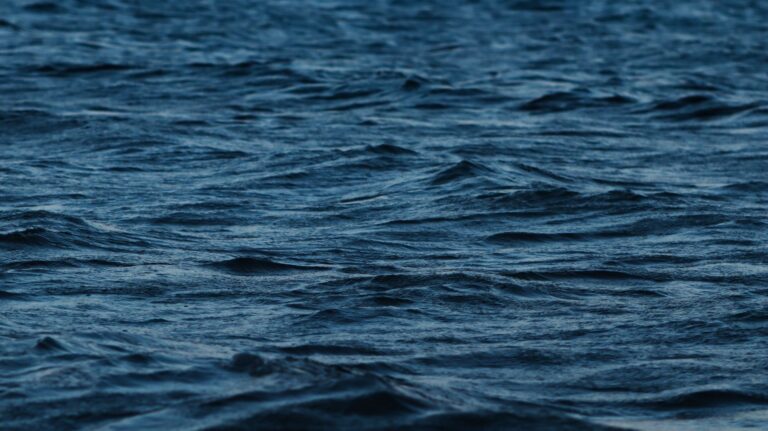 What is the Water Regulations Advisory Scheme (WRAS)?