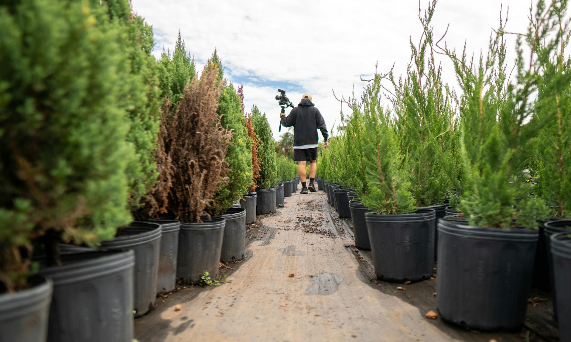 How to Start a Landscaping Business in the USA: The Complete Guide