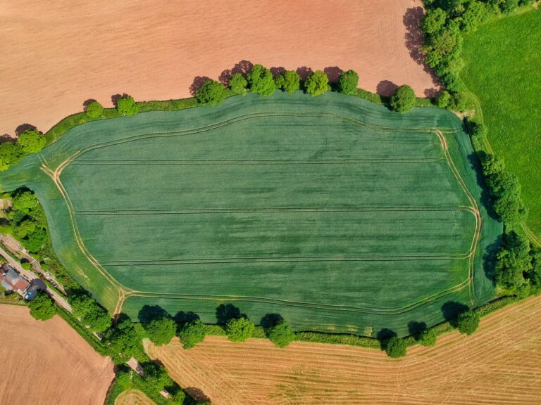 How Much Does a Landscaper Charge Per Hour in the UK? (2026)