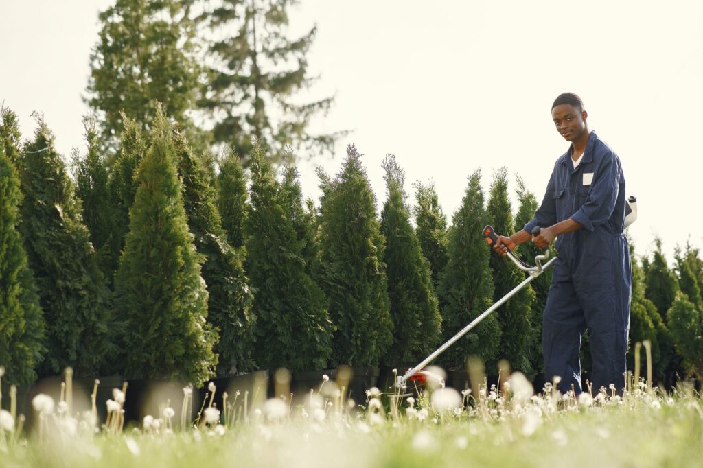 How to Quote for Landscaping Work in the USA
