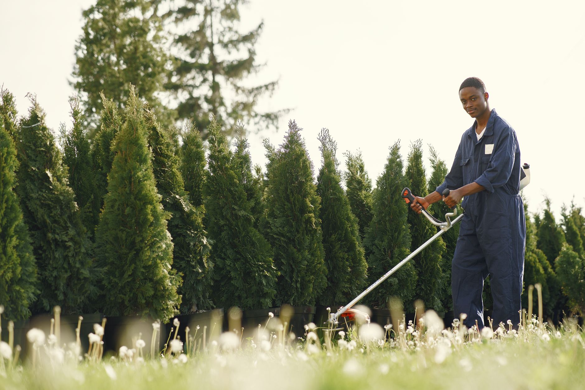 How to Quote for Landscaping Work in the USA