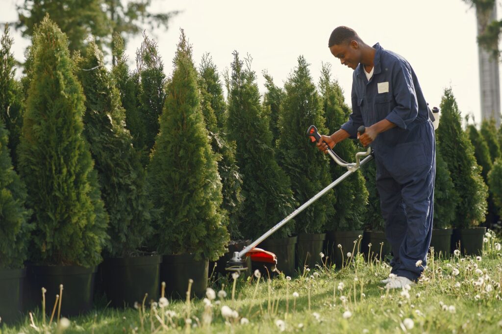 Landscaper completing a garden installation, professional result showing neat lawn and planting